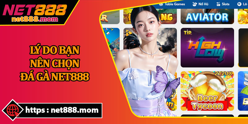Lý Do Bạn Nên Chọn Đá Gà Net888