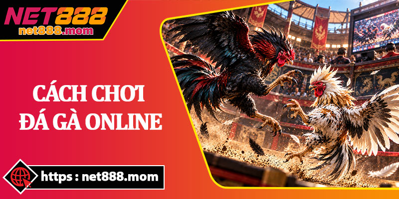 Cách Chơi Đá Gà Online