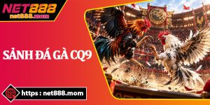 Sảnh Đá Gà CQ9